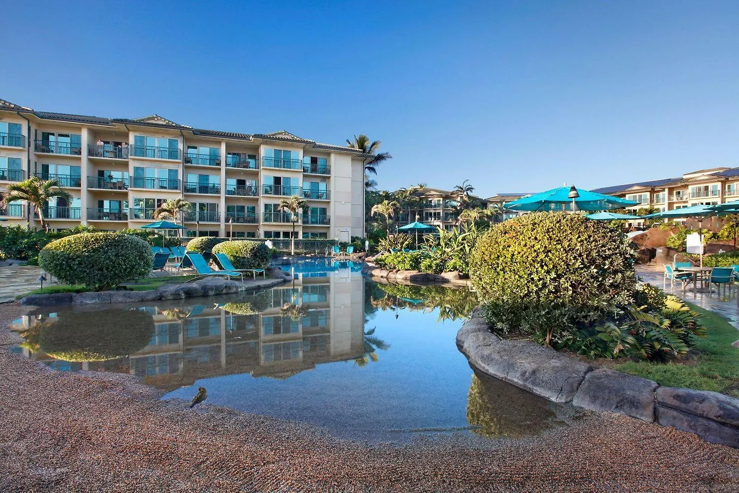 Apartment Waipouli Beach Resort Penthouse Exquisite Ocean & Pool View Condo! Kapa'a